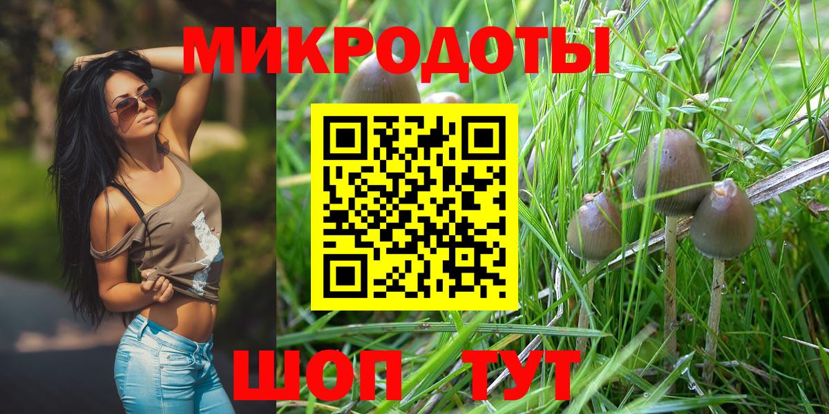 Псилоцибиновые грибы прущие грибы Спасск-Дальний