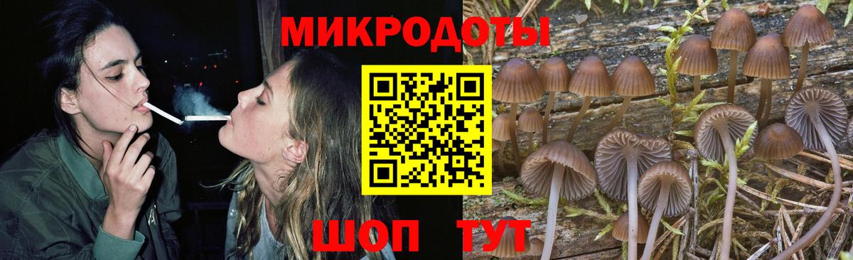 Спасск-Дальний  Галлюциногенные грибы ЛСД  Вход с VPN 